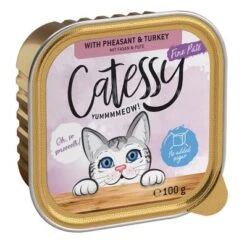 Catessy En Tarrinas 32 X 100 G - Pack Mixto -Mascota Tienda catessy finepate pheasant turkey 100g 1000x1000 0