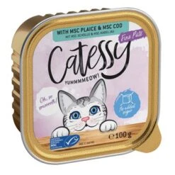 Catessy En Tarrinas 32 X 100 G - Pack Mixto -Mascota Tienda catessy finepate plaicecod 100g 1000x1000 2