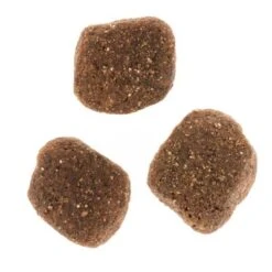 Wolf Of Wilderness The Taste Of The Mediterranean -Mascota Tienda dsc2639 2