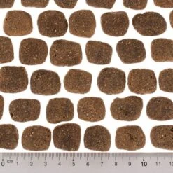 Wolf Of Wilderness The Taste Of The Mediterranean -Mascota Tienda dsc2642 0