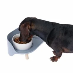 TIAKI Comedero Doble De Cerámica Para Mascotas -Mascota Tienda dsc6184 0