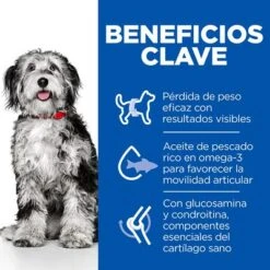 Hill's Science Plan Hill's Adult Perfect Weight & Active Mobility Medium Science Plan Pollo -Mascota Tienda h217931 p427269 sp pw am adult dog medium chicken bk32439m key benefits es es 6