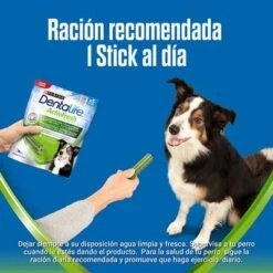 PURINA Dentalife Active Fresh Snacks Dentales Para Perros Medianos 17 PURINA Dentalife Active Fresh Snacks Dentales Para Perros Medianos -Mascota Tienda m 2 5
