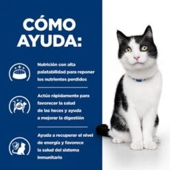 Hill's I/d Prescription Diet Sobres Comida Húmeda Para Gatos -Mascota Tienda pd id activbiome cat bk30994m bk30913 bk31379 bk30787 bk31600m bk31599m how helps es 7