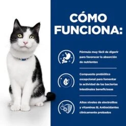 Hill's I/d Prescription Diet Sobres Comida Húmeda Para Gatos -Mascota Tienda pd id activbiome cat bk30994m bk30913 bk31379 bk30787 bk31600m bk31599m how works es 5