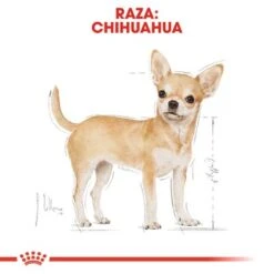 Royal Canin Breed Chihuahua Mousse 10 Royal Canin Breed Chihuahua Mousse -Mascota Tienda rc bhn wet chihuahua cv eretailkit 1 es es 1 1