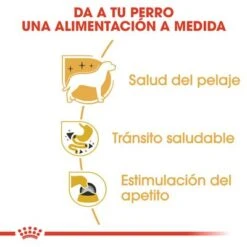 Royal Canin Breed Chihuahua Mousse 9 Royal Canin Breed Chihuahua Mousse -Mascota Tienda rc bhn wet chihuahua cv eretailkit 3 es es 1 6