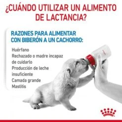 Royal Canin Babydog Milk -Mascota Tienda rc chn babydogmilk 2kg cv 2 es es pdf 6