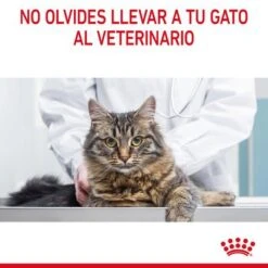 Royal Canin Hairball Care En Salsa -Mascota Tienda rc fcn hairballpouchgravy 13 es es 3