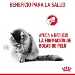 Royal Canin Hairball Care En Salsa -Mascota Tienda rc fcn hairballpouchgravy 6 es es 4