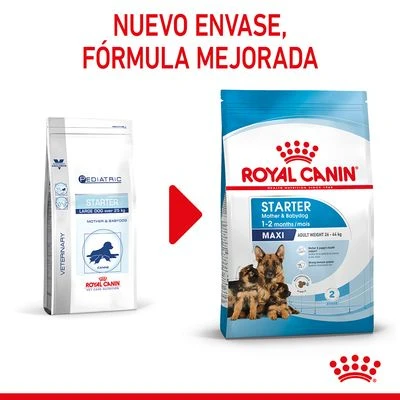 Royal Canin Maxi Starter 2 Royal Canin Maxi Starter - Imagen 2