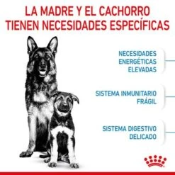 Royal Canin Maxi Starter 16 Royal Canin Maxi Starter -Mascota Tienda rc spt dry maxistart cv 2 es es 4