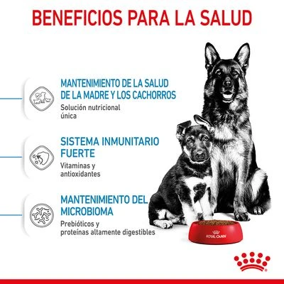 Royal Canin Maxi Starter 6 Royal Canin Maxi Starter - Imagen 6