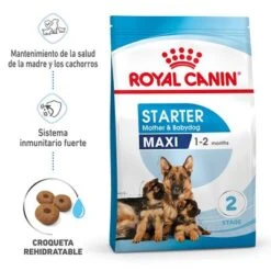 Royal Canin Maxi Starter 15 Royal Canin Maxi Starter -Mascota Tienda rc spt dry maxistart mv 1 es es 3