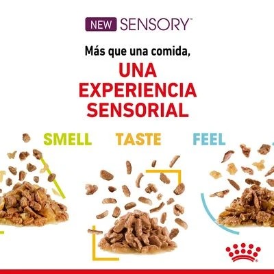 Royal Canin Sensory Taste En Salsa 4 Royal Canin Sensory Taste En Salsa - Imagen 4