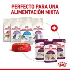 Royal Canin Sensory Taste En Salsa 15 Royal Canin Sensory Taste En Salsa -Mascota Tienda rc spt wet senstastecig cv 5 es es 1
