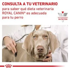 Royal Canin Veterinary Canine Satiety Weight Management Pienso Para Perros 15 Royal Canin Veterinary Canine Satiety Weight Management Pienso Para Perros -Mascota Tienda rc vet dry dogsatietywm cv eretailkit 8 es es 2