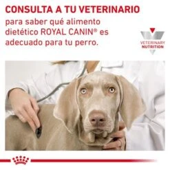 Royal Canin Veterinary Canine Gastrointestinal Low Fat Pienso Para Perros 16 Royal Canin Veterinary Canine Gastrointestinal Low Fat Pienso Para Perros -Mascota Tienda rc vhn gastrointestinallowfatdog cv eretailkit 9 es es pdf 0