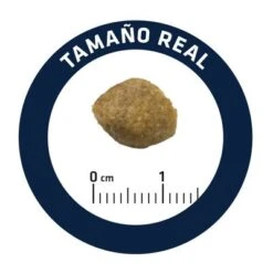 Advance Urinary Veterinary Diets Pienso Para Perros -Mascota Tienda u02 surfnjixoddfuefsveldvuxbluvtlmpwzw 1521557342964 6