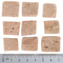 Pack Ahorro 4 X Wolf Of Wilderness RAW Snacks Liofilizados Premium 21 Pack Ahorro 4 X Wolf Of Wilderness RAW Snacks Liofilizados Premium -Mascota Tienda wow fd snack blue river cubes with ruler 4