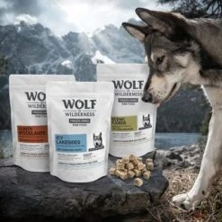 Wolf Of Wilderness Icy Lakesides Con Cordero, Trucha Y Pollo -Mascota Tienda zop 22 060 wolf of wilderness barf image p2 d1 dsc3487 1